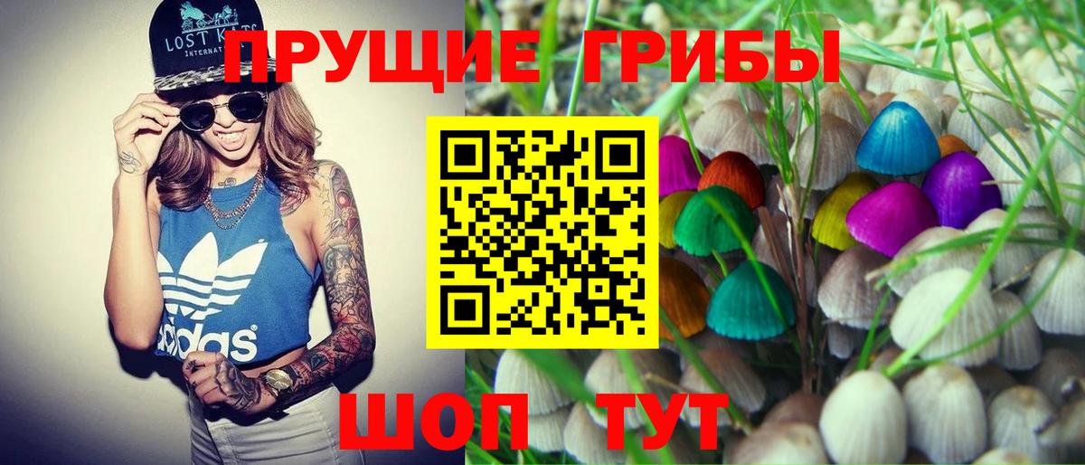 Губаха  где продают наркотики  Галлюциногенные грибы Psilocybine cubensis  Вход с VPN  Псилоцибиновые грибы прущие грибы 